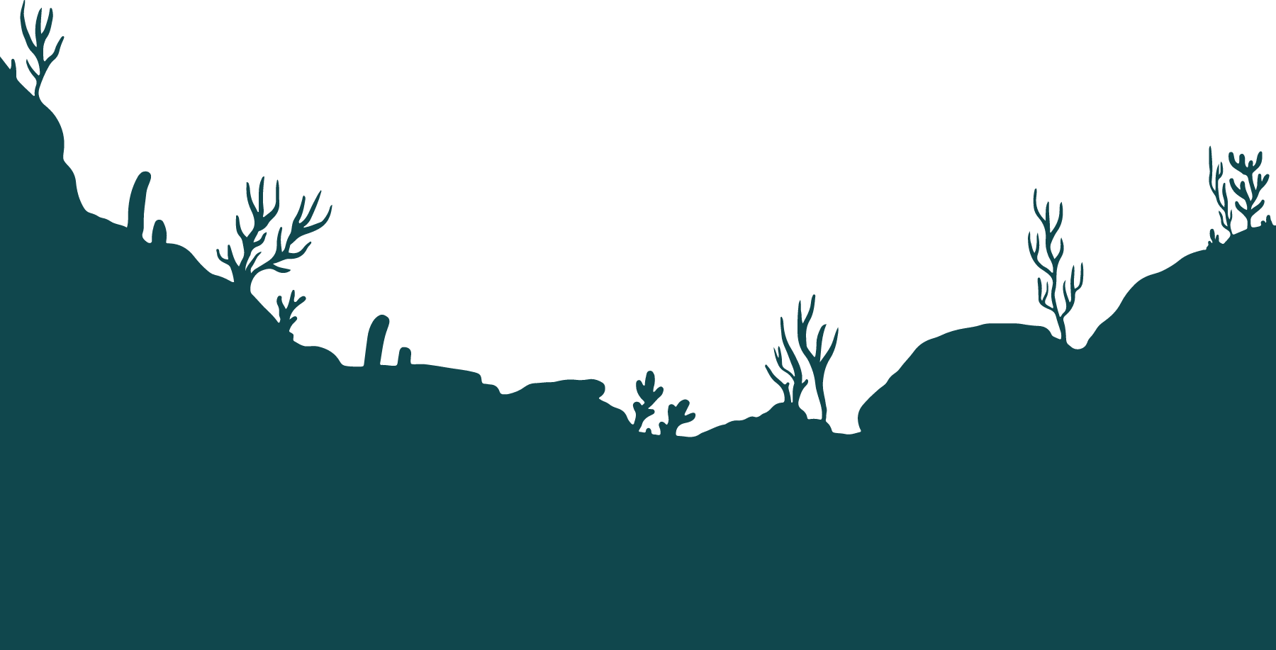 The floor of the lake